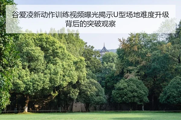 谷爱凌新动作训练视频曝光揭示U型场地难度升级背后的突破观察